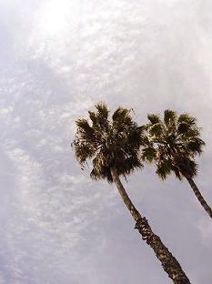 f0041447_15223878.jpg