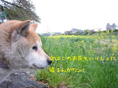 久しぶりの宝ヶ池_c0049950_993316.jpg