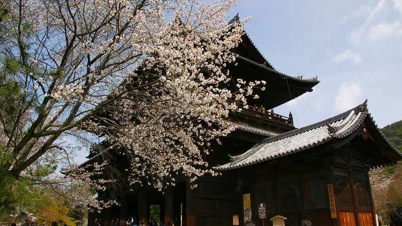 京の桜便り２００９ （蹴上 南禅寺の桜 ）  (2009年04月18日)_c0119555_13445246.jpg