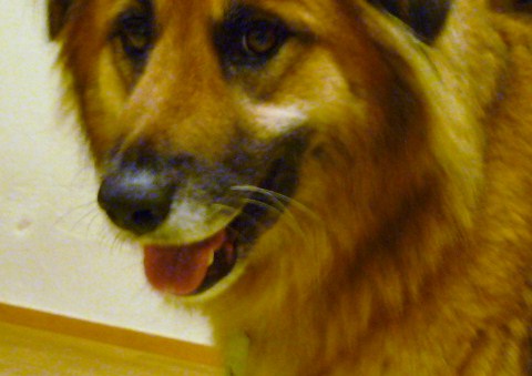 f0034156_10295940.jpg
