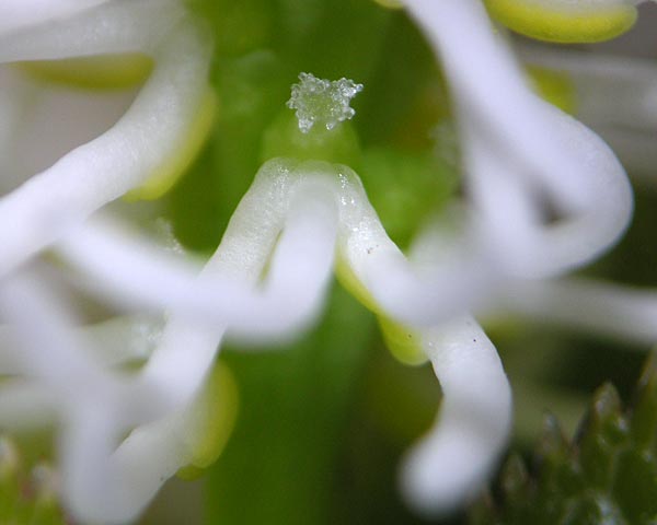 e0035757_17243335.jpg