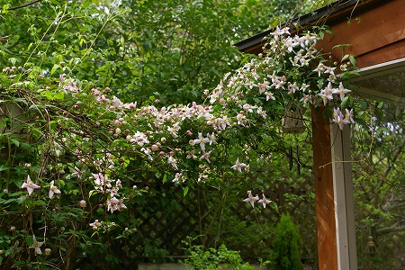 d0083761_20104429.jpg