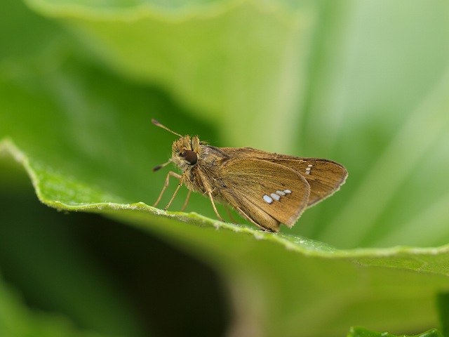 b0135573_2034123.jpg