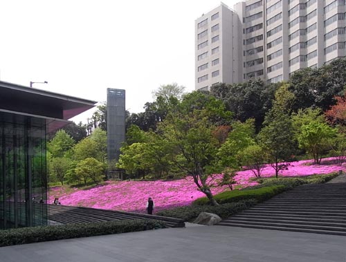 芝桜とエレベーター_e0008876_1193861.jpg