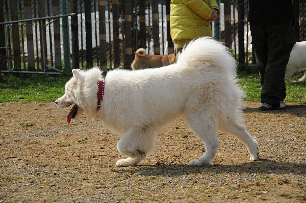 とぶき　200903 55_c0109780_13181471.jpg