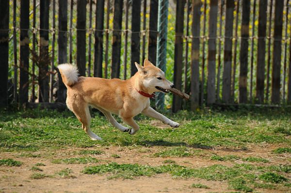 とぶき　200903 55_c0109780_1318274.jpg