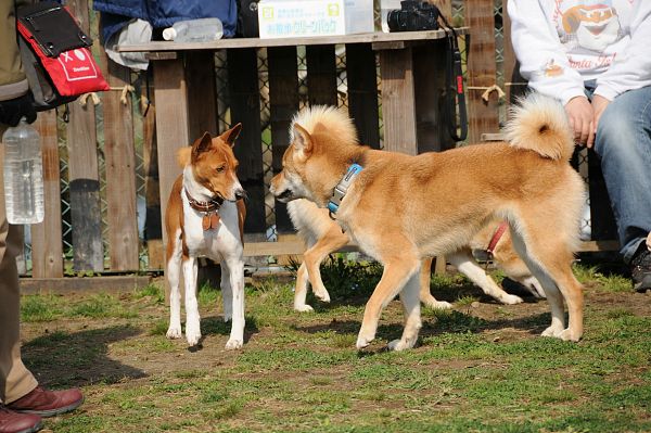 とぶき　200903 55_c0109780_1318781.jpg