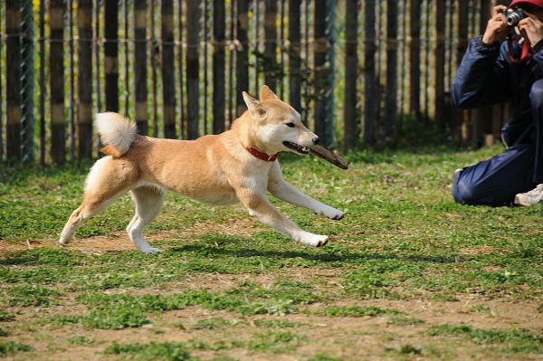 とぶき　200903 56_c0109780_13223398.jpg