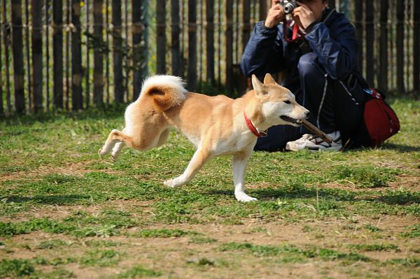 とぶき　200903 56_c0109780_13224019.jpg