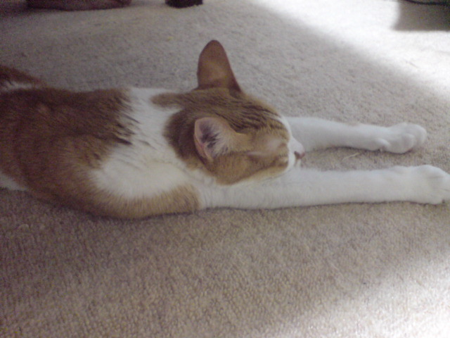c0180581_15284599.jpg