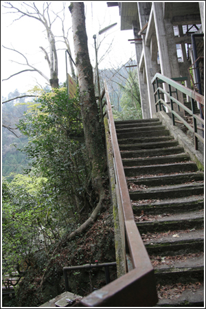 e0027083_7394737.jpg