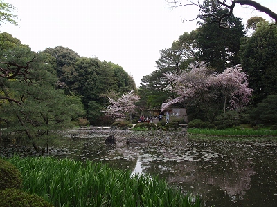 c0105785_94814.jpg