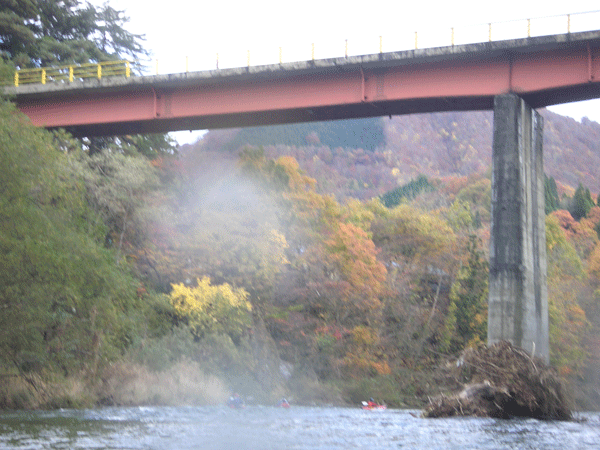 f0207485_23514635.gif