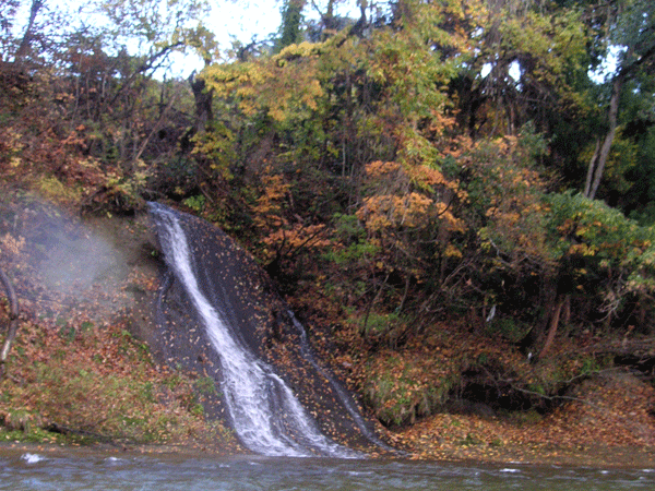 f0207485_23515782.gif