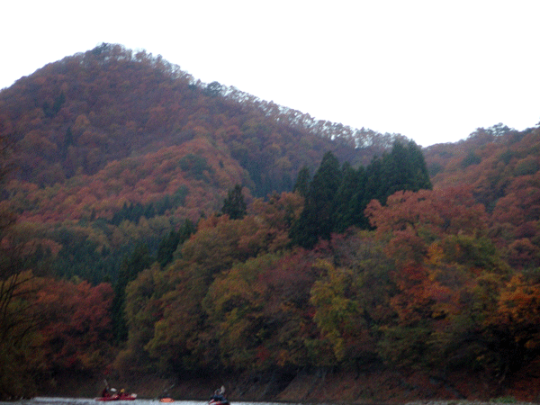 f0207485_23534518.gif