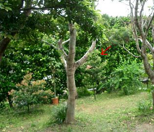 e0158687_21571651.jpg