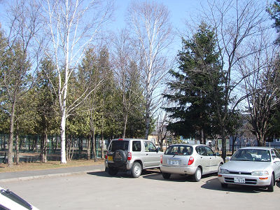 e0160787_91486.jpg