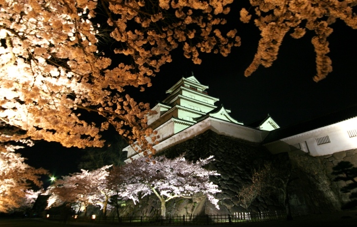 鶴ヶ城の夜桜_f0174989_1715579.jpg