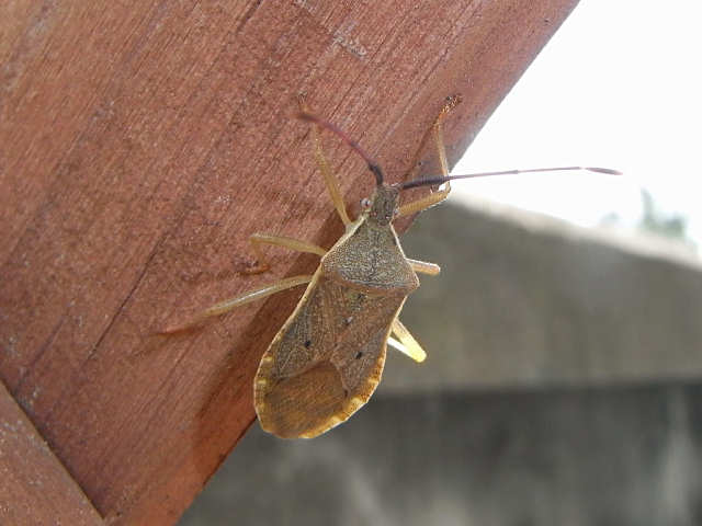 f0204094_6334328.jpg