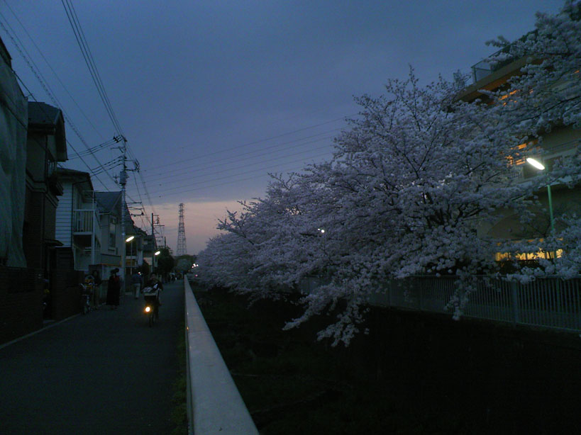 b0060102_521066.jpg