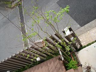 e0141203_15183557.jpg