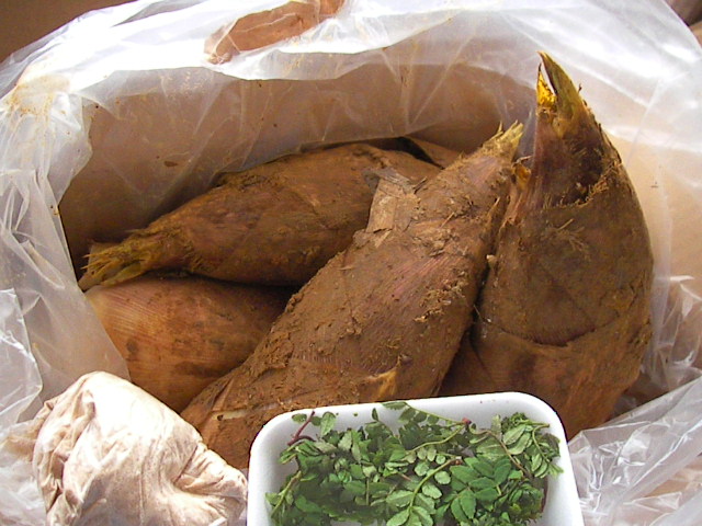 f0038407_91036.jpg