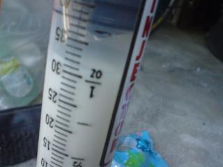 c0070609_16204795.jpg
