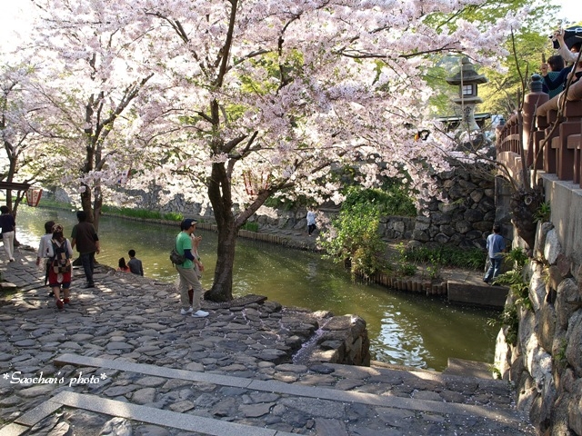 c0157624_2159033.jpg