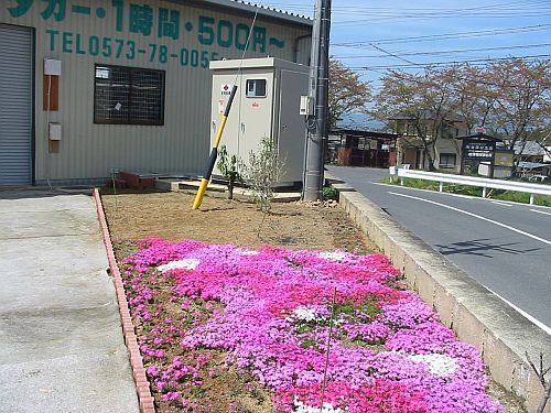 何もかも春!熱い4月だ!!_f0076731_22442317.jpg