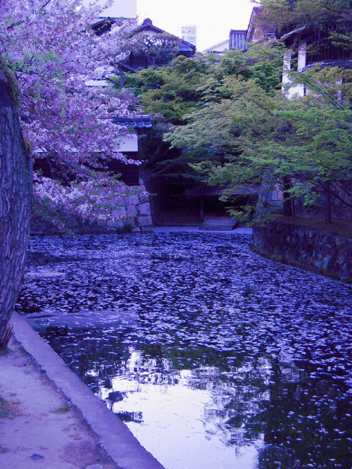 続・讃岐～瀬戸大橋～倉敷_d0017632_10303183.jpg