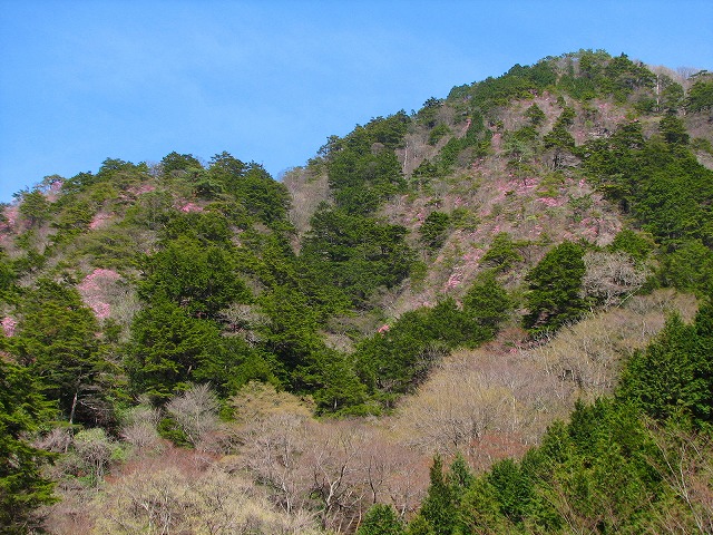 4月18日（土） 栗原山～南小太郎山♪_b0097836_23513099.jpg