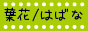 b0137240_11573682.gif