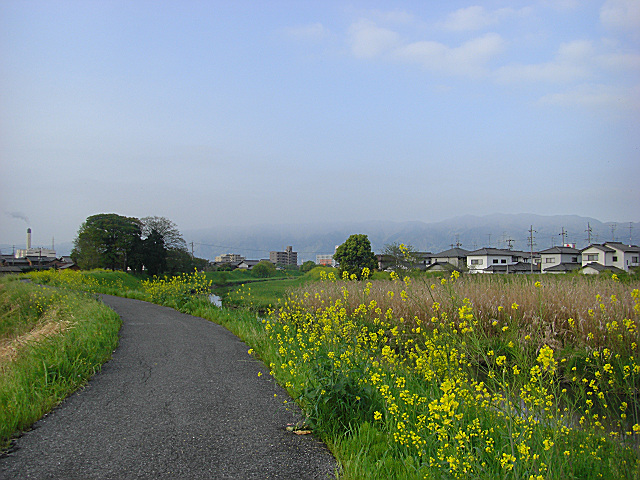 b0088444_21323825.jpg