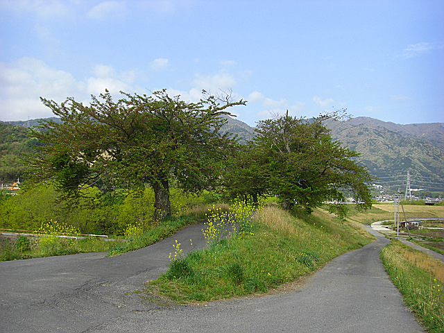 b0088444_2134173.jpg