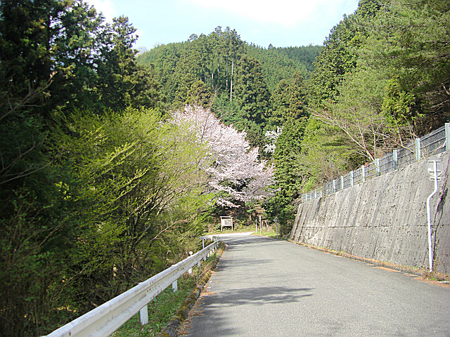 b0088444_21464420.jpg