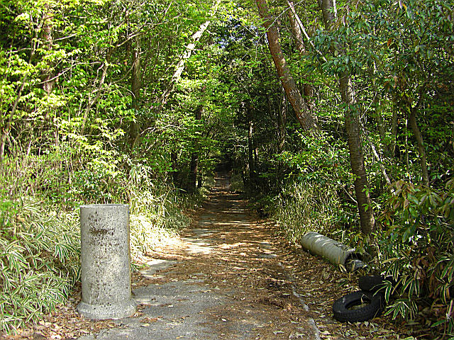 b0088444_21512593.jpg