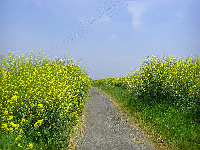 b0088444_2215178.jpg