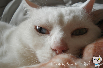 朝から夜まで_e0031853_22514696.jpg