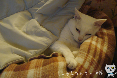 朝から夜まで_e0031853_22524555.jpg