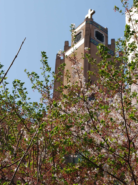 東京築地の聖路加国際病院旧棟_a0110756_1112433.jpg