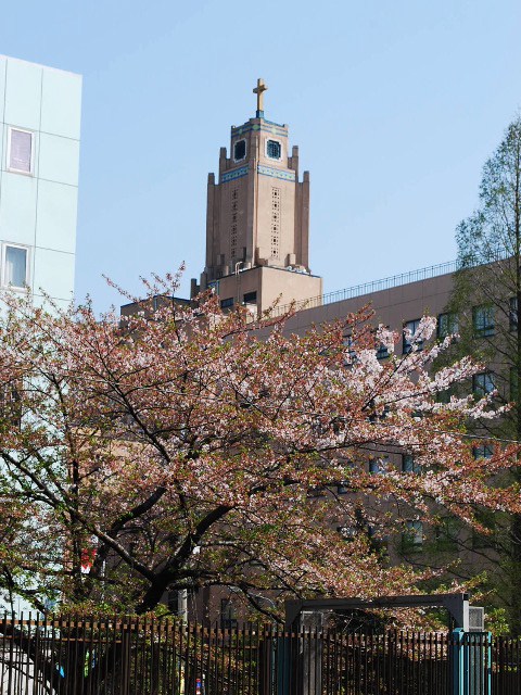 東京築地の聖路加国際病院旧棟_a0110756_11232499.jpg