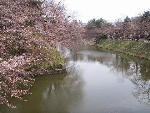 4月18日(土)　弘前公園内の様子_d0131668_20491438.jpg