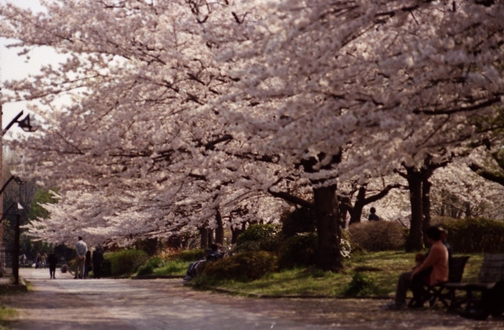 c0124773_09567.jpg