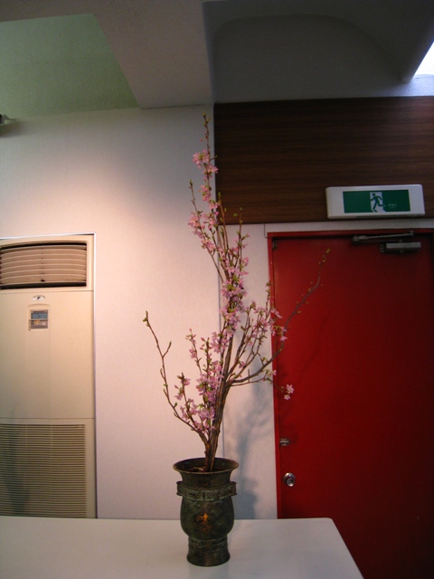 研究会作品 自由花&お生花(せいか) : 明峯のいけばな日記 研究会作品 自由花&お生花(せいか) : 明峯のいけばな日記