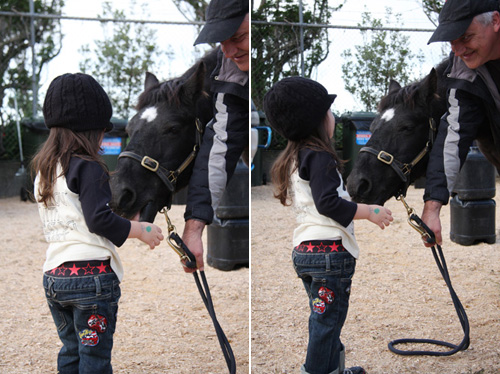 i ♡ horse riding!_c0194085_1116340.jpg