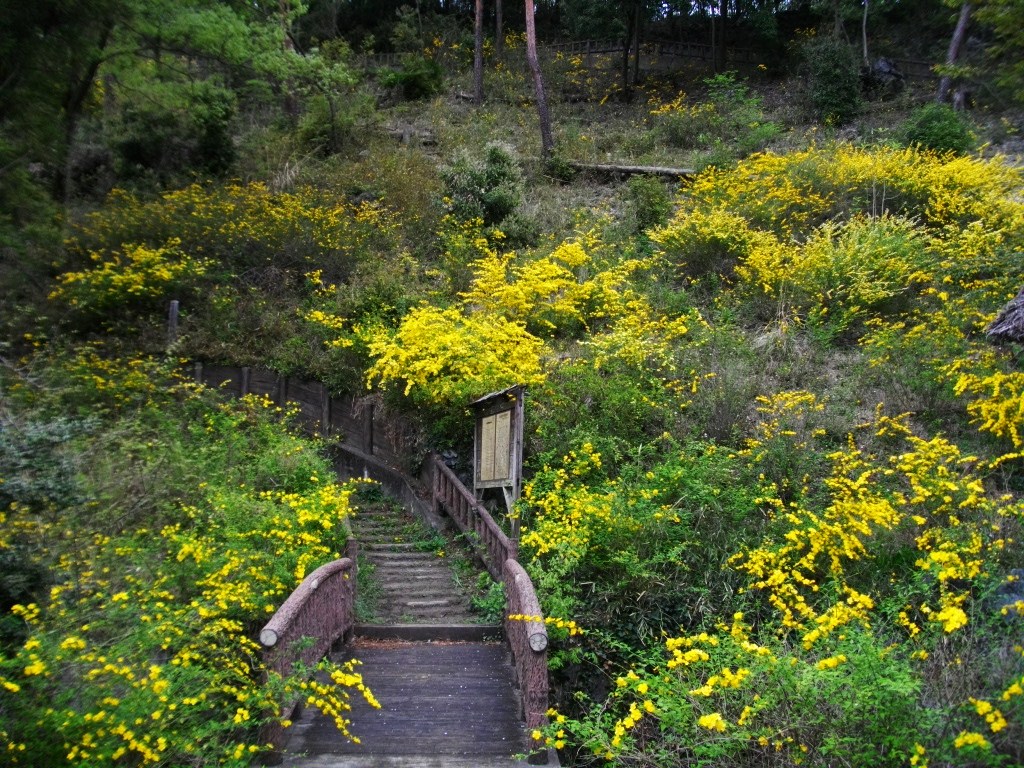 山吹の里歴史公園_a0078986_20123295.jpg