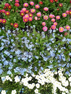 c0160488_06686.jpg