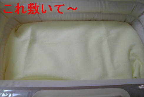 f0123589_14209.jpg