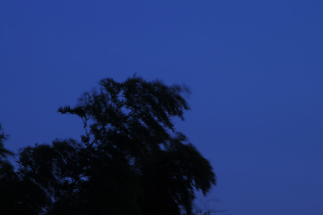 b0159790_2332138.jpg