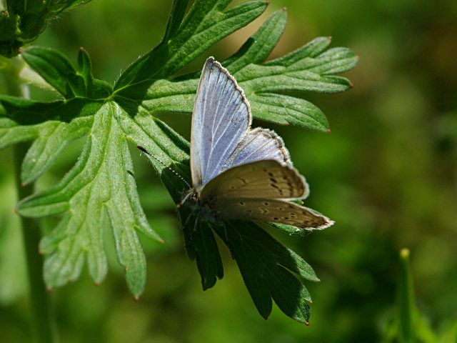f0204094_2027196.jpg